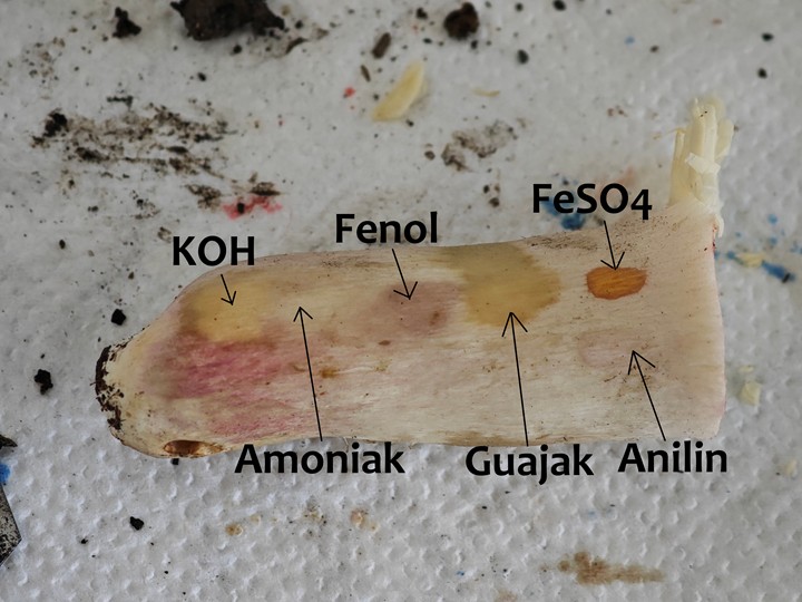 Chemické reakce (po uplynutí 60 vteřin)